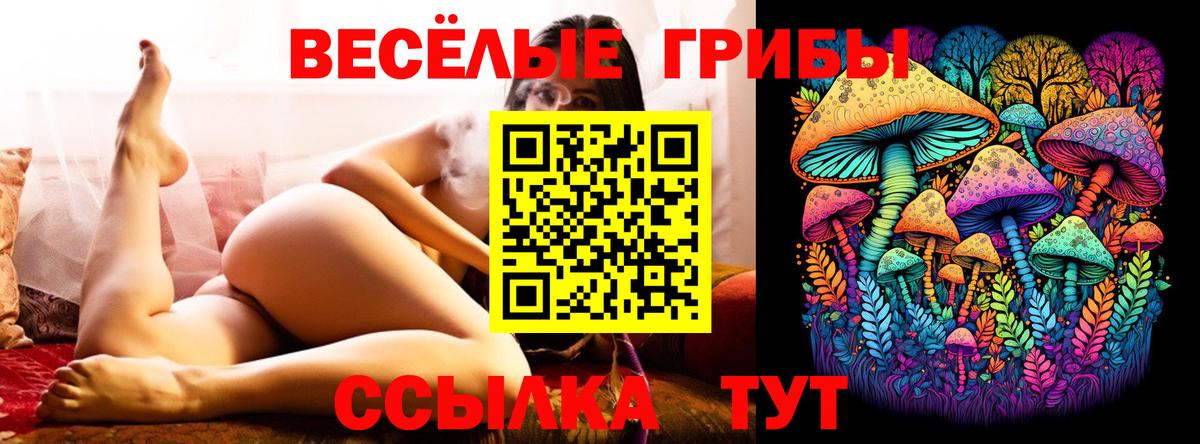 Павловский Посад  Галлюциногенные грибы мицелий  Вход с VPN 