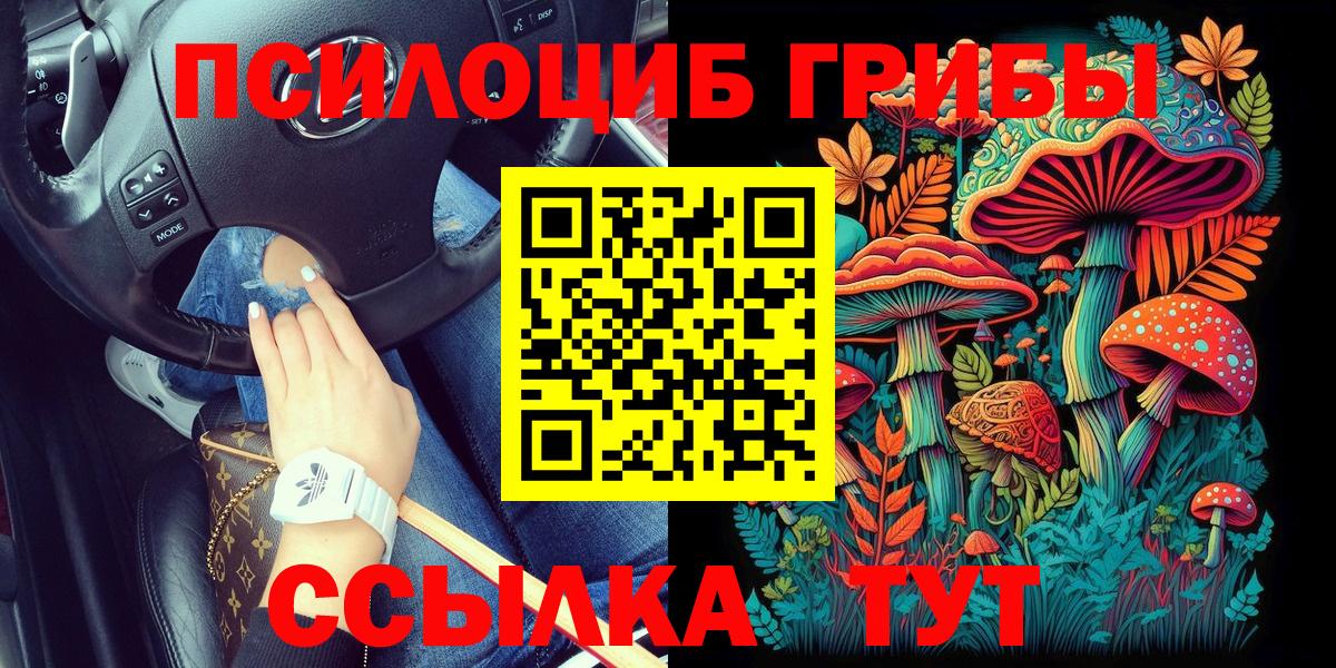 Галлюциногенные грибы Magic Shrooms Павловский Посад